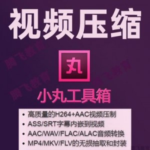 小丸工具箱【优秀免费视频压缩专用软件】C作简单，一键即可完成视频的压制！还支持内嵌字幕、封装转换、视频截取等功能！