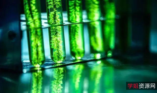 突破系统安装极限!「Photoshop+2022+绿色版」免安装更轻松!