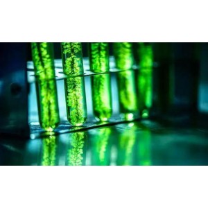 突破系统安装极限！「Photoshop+2022+绿色版」免安装更轻松！