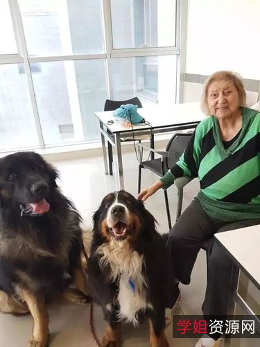 《义犬救主RescuedbyRuby：友谊与希望的力量》