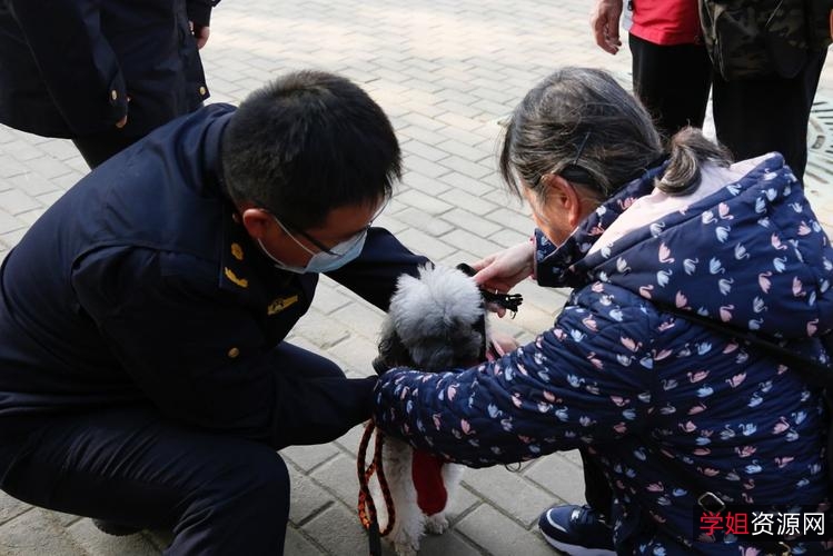 《义犬救主RescuedbyRuby：友谊与希望的力量》