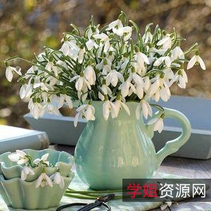 2021年雪滴花:新用户转存500G额外空间,极速在线查看和视频原画倍速播放,安全保护完善服务。