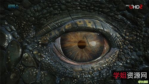 2018年IMAX蓝光版《海王》2160p原画倍速无损,阿里云盘视频稳定快速下载