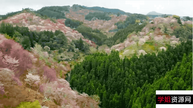 2022年BBC新作:《绿色星球》——植物版的地球脉动