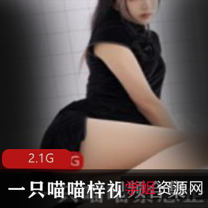 黑丝礼服写真视频合集