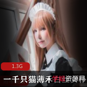 猫咪女仆合集微博猫薄禾小豹猫白丝装扮