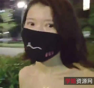 小狗马尧高档宠物狗犬31cm/44cm