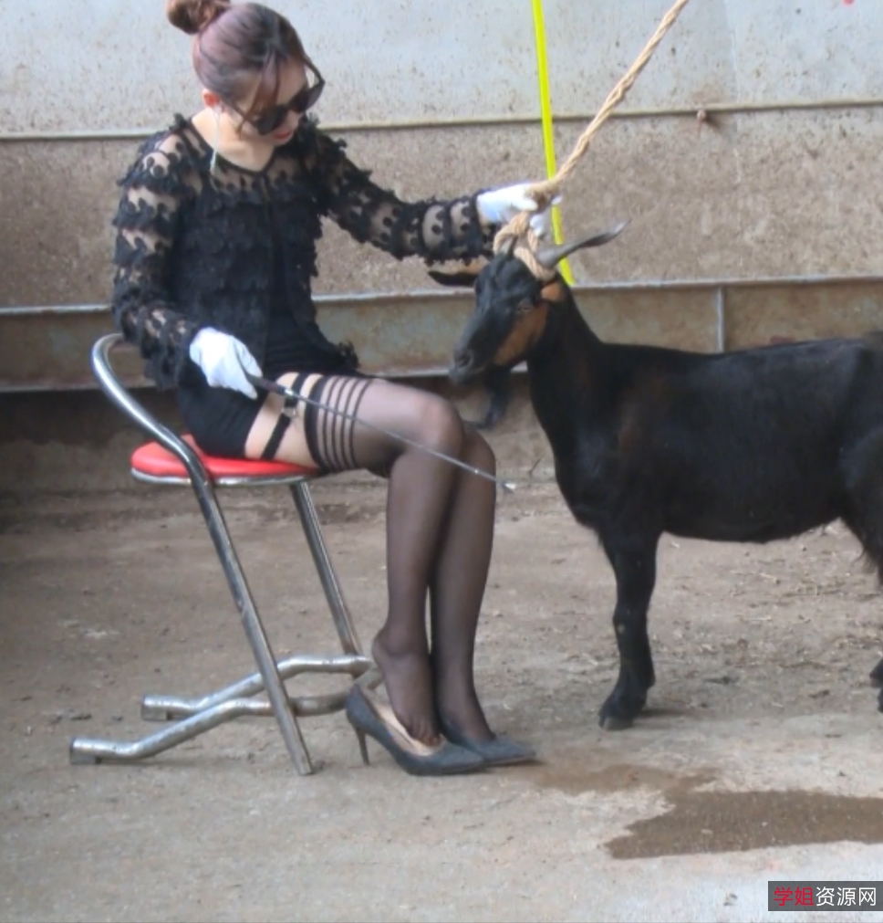 黑丝高跟鞋美女残忍骑羊高清定制视频