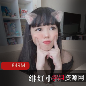 绯红小猫:高颜值人气主播,精致腮红cosplay福利姬