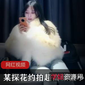 高颜值小姐姐的探花作品