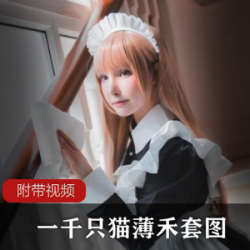 薄禾四套作品