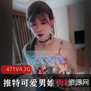 推特男娘伪娘TS精品视频合集[471V4.3G]，可爱小视频国内独家