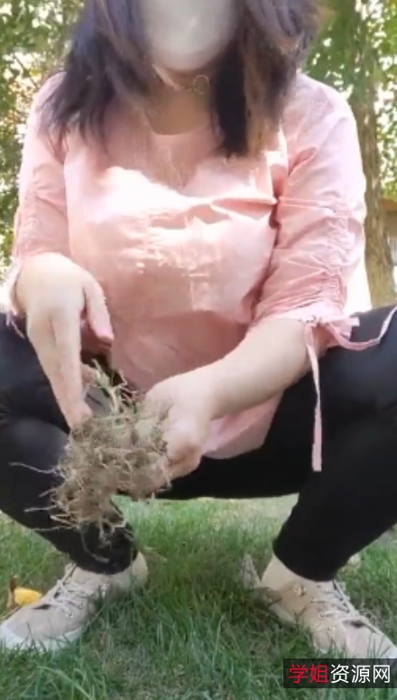 风情万种熟女柏欣彤广场舞视频合集，57g大小，百度ED2K收藏珍宝