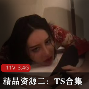 TS合集：作者自拍3小时精品资源6V3.6G