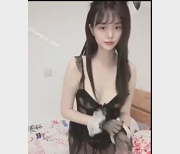 兔兔合集，快来下载观看吧！19V-495M