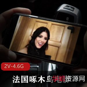 法国啄木鸟电影-双D齐下2部合集[2V-4.6G]