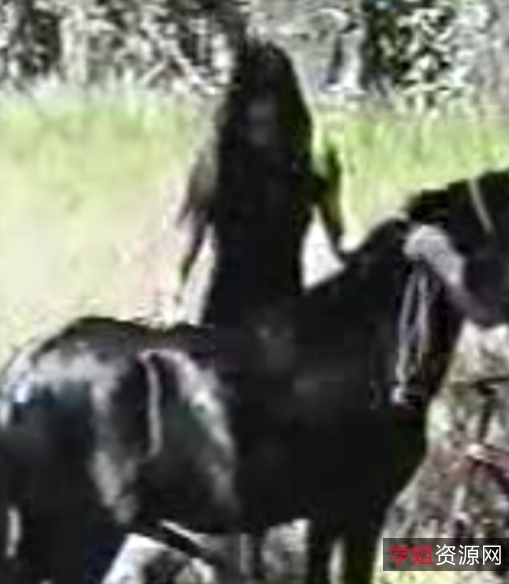 根据提供的内容，为该商品取一个免费视频分享：马合集，127个视频，总大小27GB，解压密码：打包证明