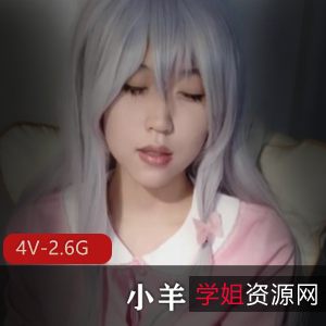 重磅小羊皮都要玩破了~+[4V2.6G]