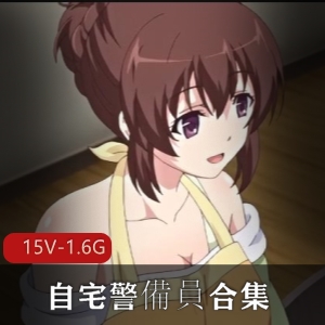 里番自宅警备员合集岛国出品15V1.6G，剧情给三姐妹兄妹，含中文资源