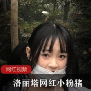 小粉猪水嫩居家自拍合集88部50G极度诱惑