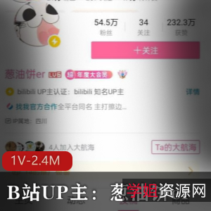 视频B站UP主葱油饼er1V24M劲爆